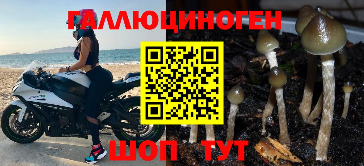 Псилоцибиновые грибы MAGIC MUSHROOMS  Псилоцибиновые грибы Cubensis  Узловая  Вход с VPN 