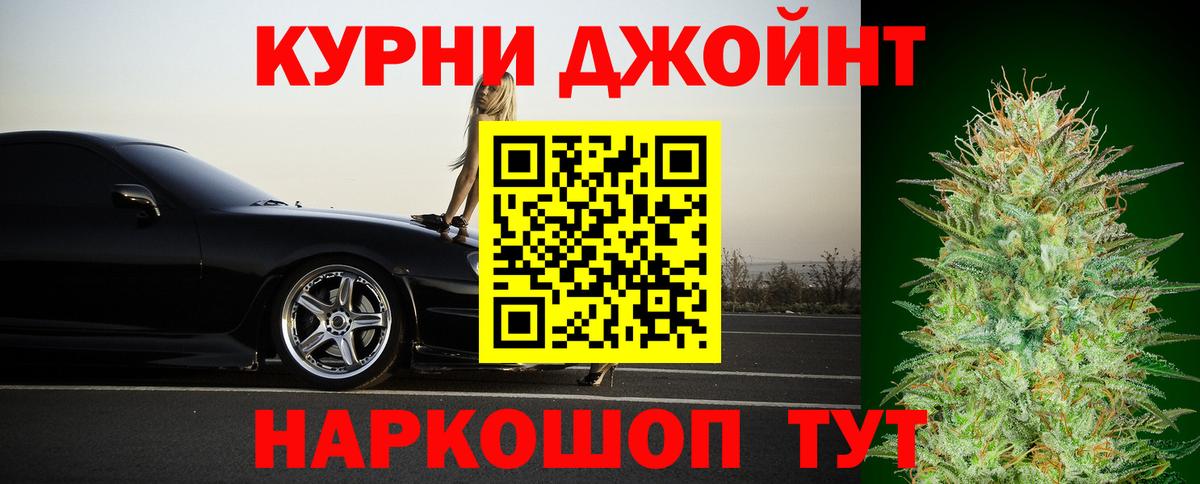 Канабис сатива Узловая